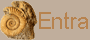 entra nel sito